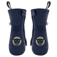 Boys ski mittens gothic blue